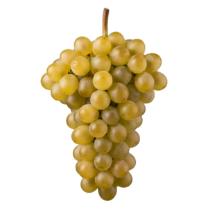 Albariño druiventros