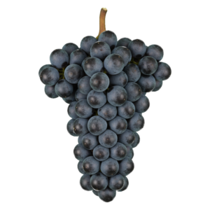 Carménère druiventros