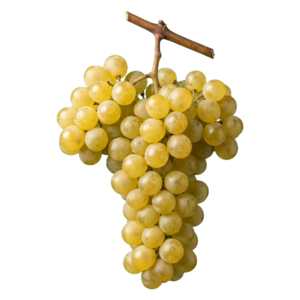 Chenin blanc druiventros