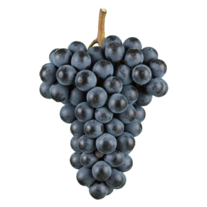 Dolcetto druiventros