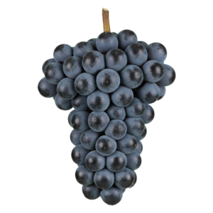 Frappato druiventros