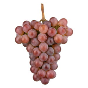 Gewürztraminer druiventros