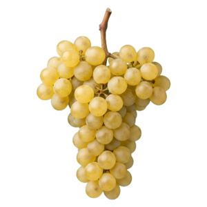 Godello druiventros
