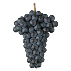 Graciano druiventros