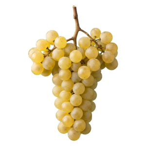 Melon de Bourgogne druiventros