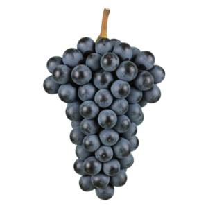 Montepulciano druiventros