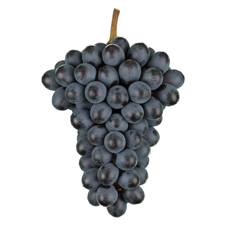 Nero d’Avola druiventros