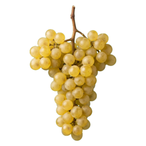 Verdejo druiventros