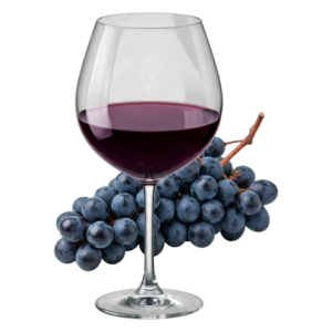 Glas Barbera met druiven