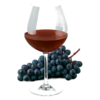 Glas Barolo met druiven
