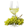 Gavi in het glas