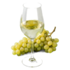 Glas Grüner Veltliner met druiven