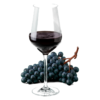 Glas Malbec met druiven