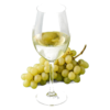 Glas Sauvignon blanc Nieuw-Zeeland met druiven