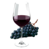 Glas Shiraz met druiven