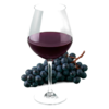 Glas Syrah Noord-Rhône met druiven