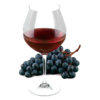 Glas Valpolicella met druiven